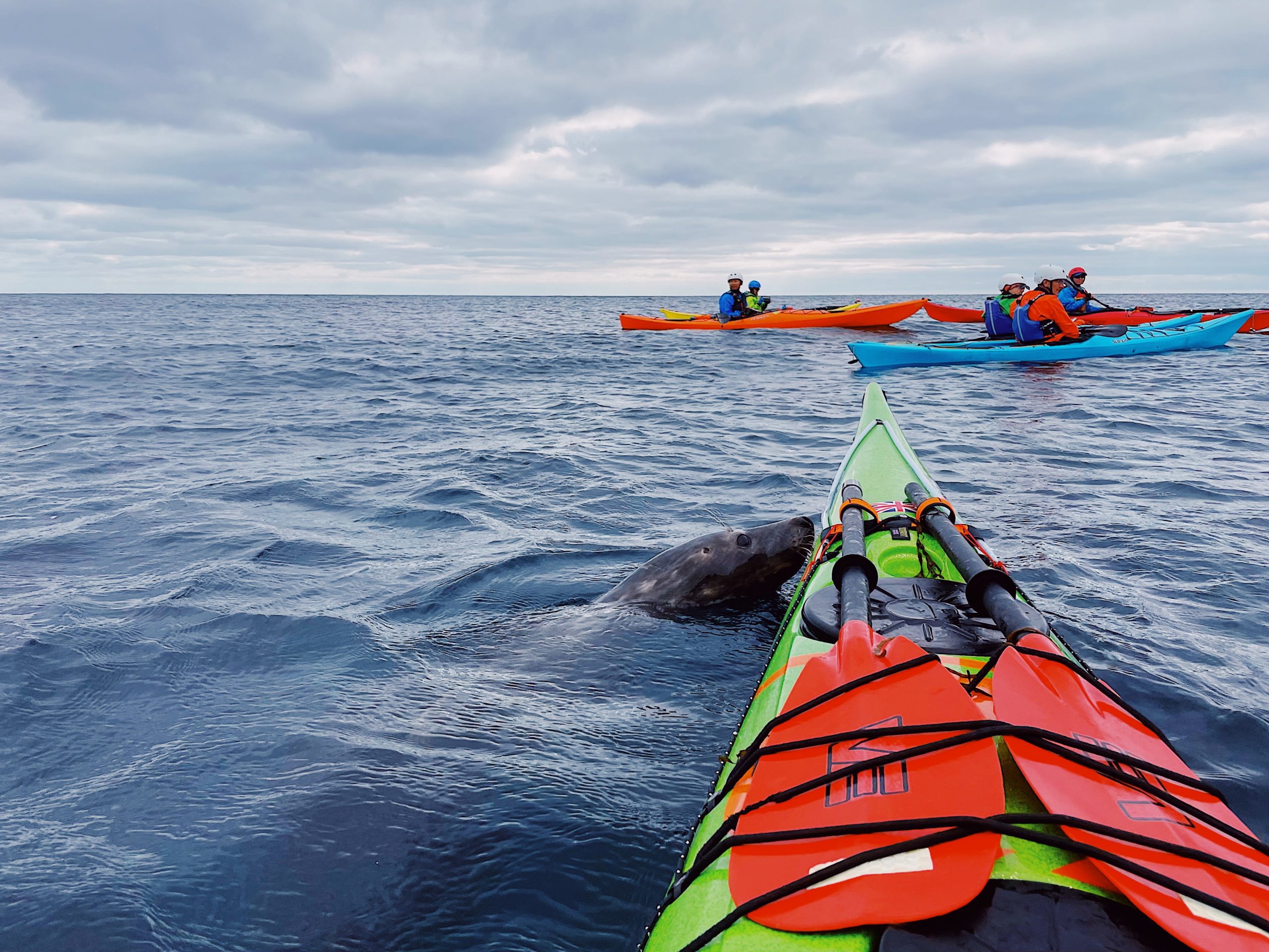 Sea Kayaking Cornwall